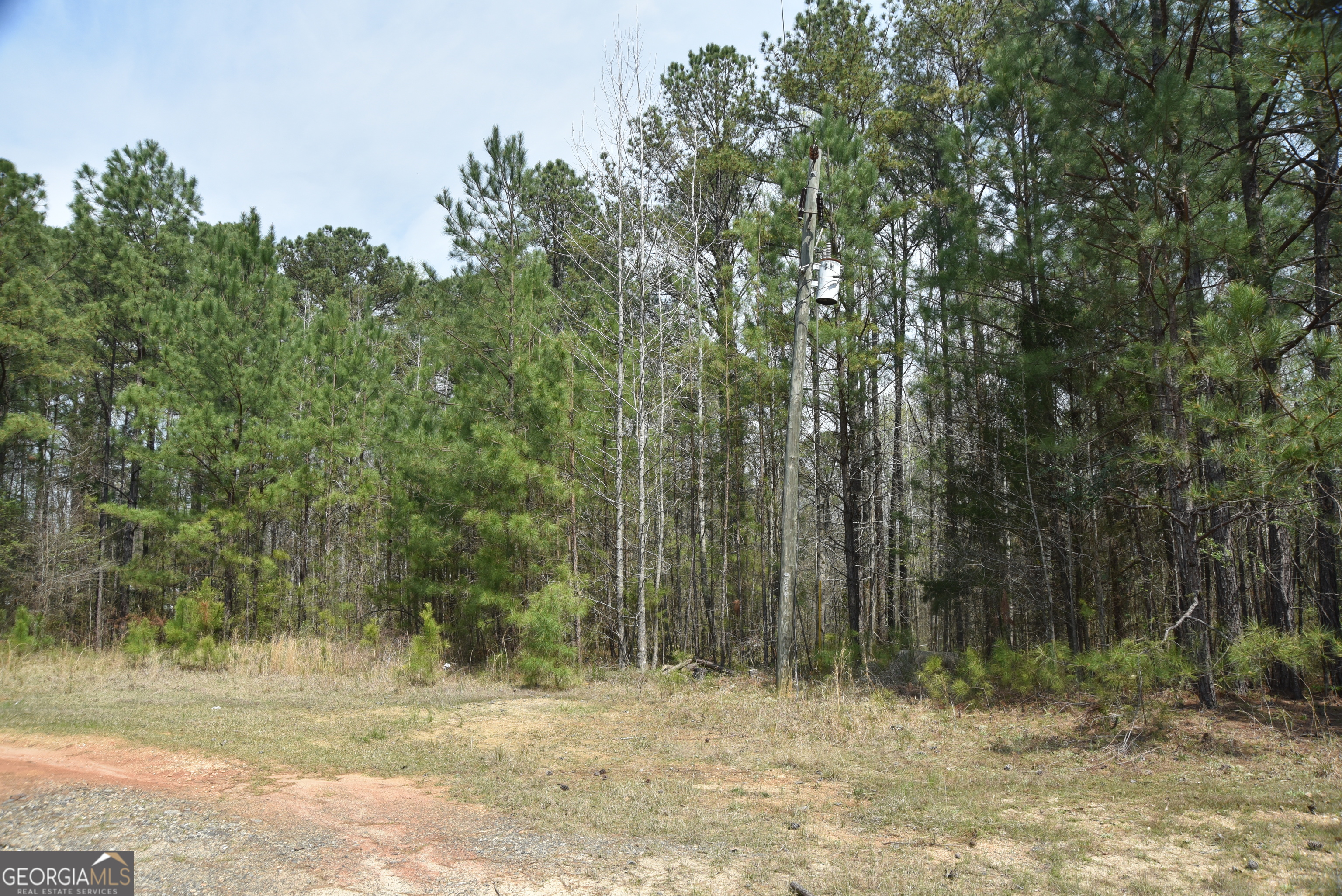 0 Main Waverly Hall GA 31831