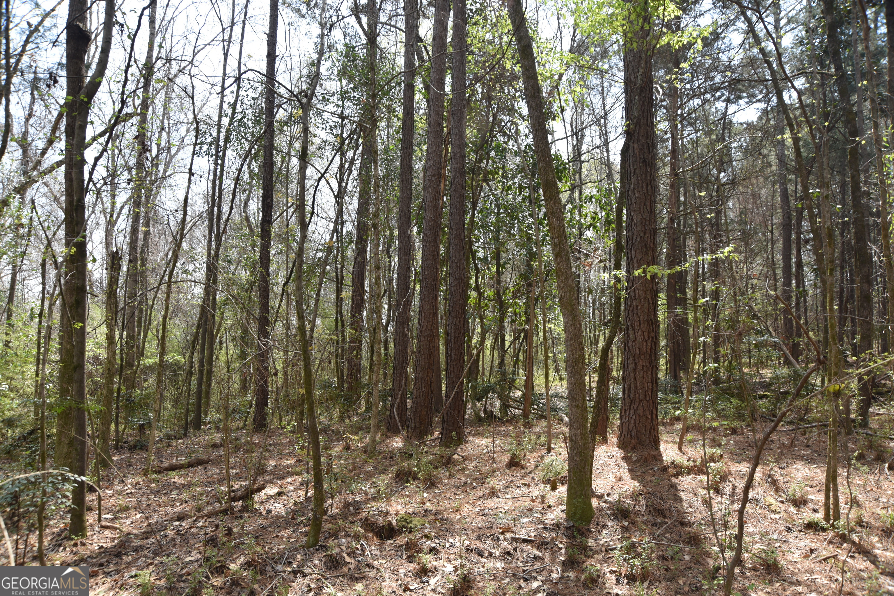 0 Main Waverly Hall GA 31831