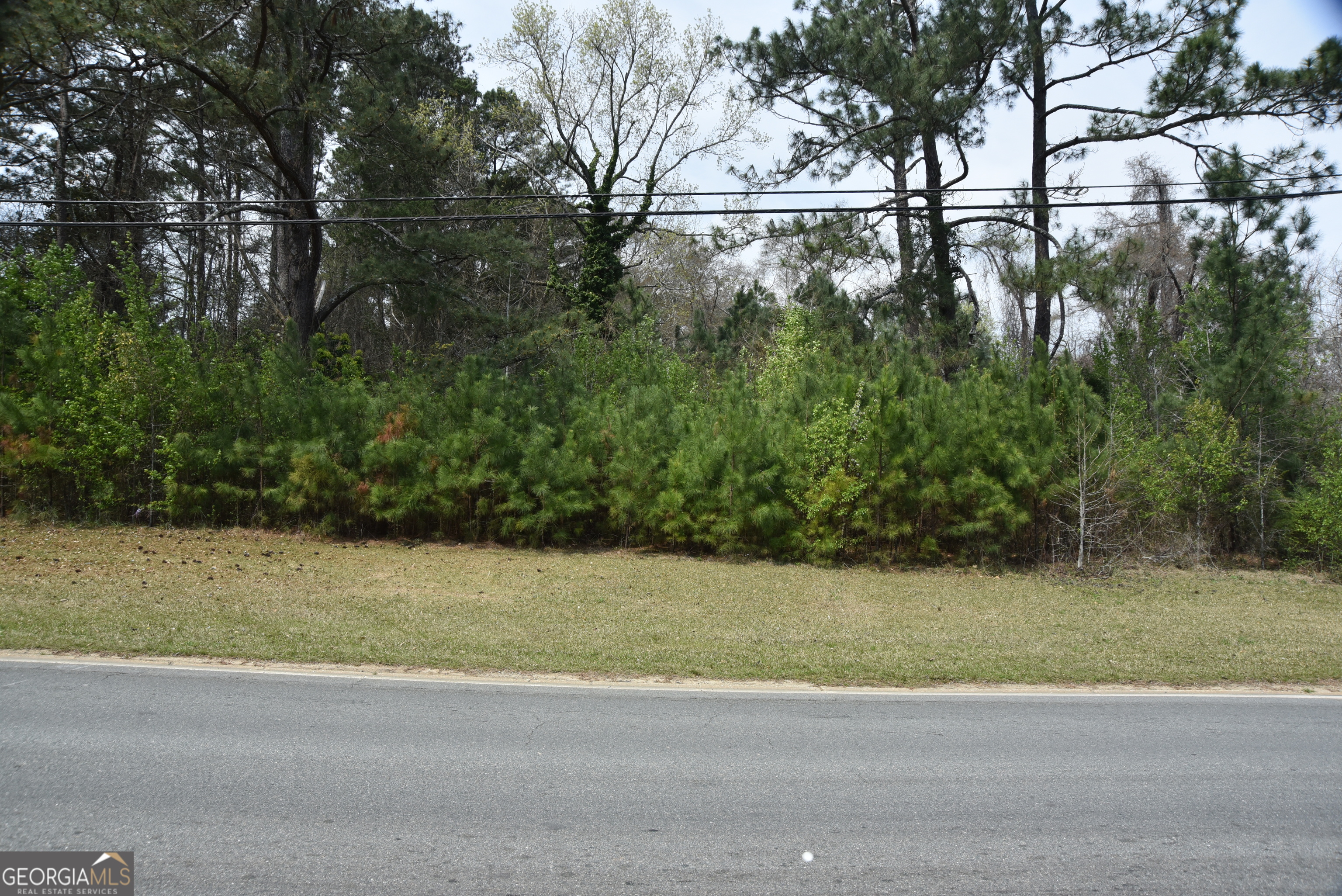 0 Main Waverly Hall GA 31831