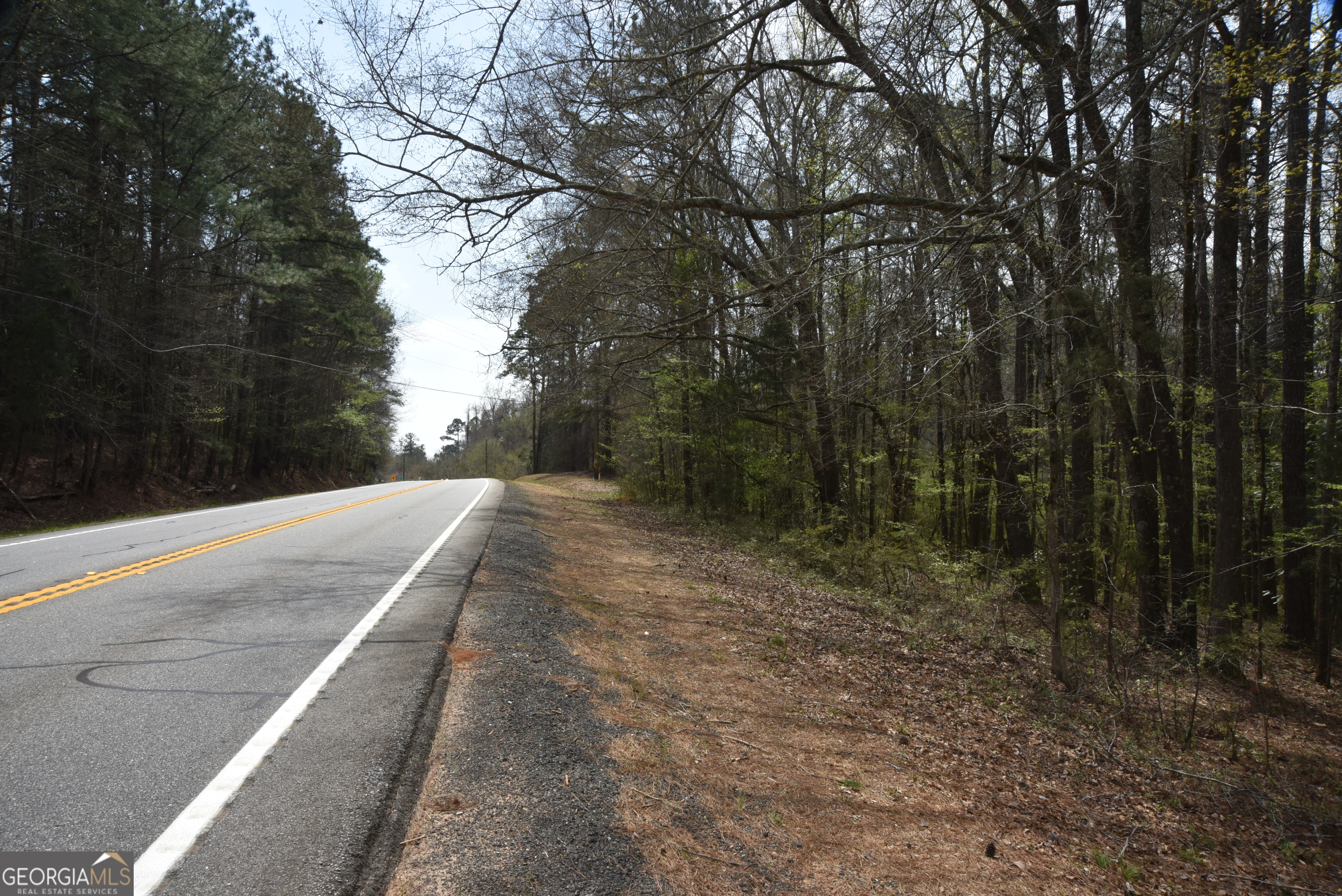 0 Main Waverly Hall GA 31831