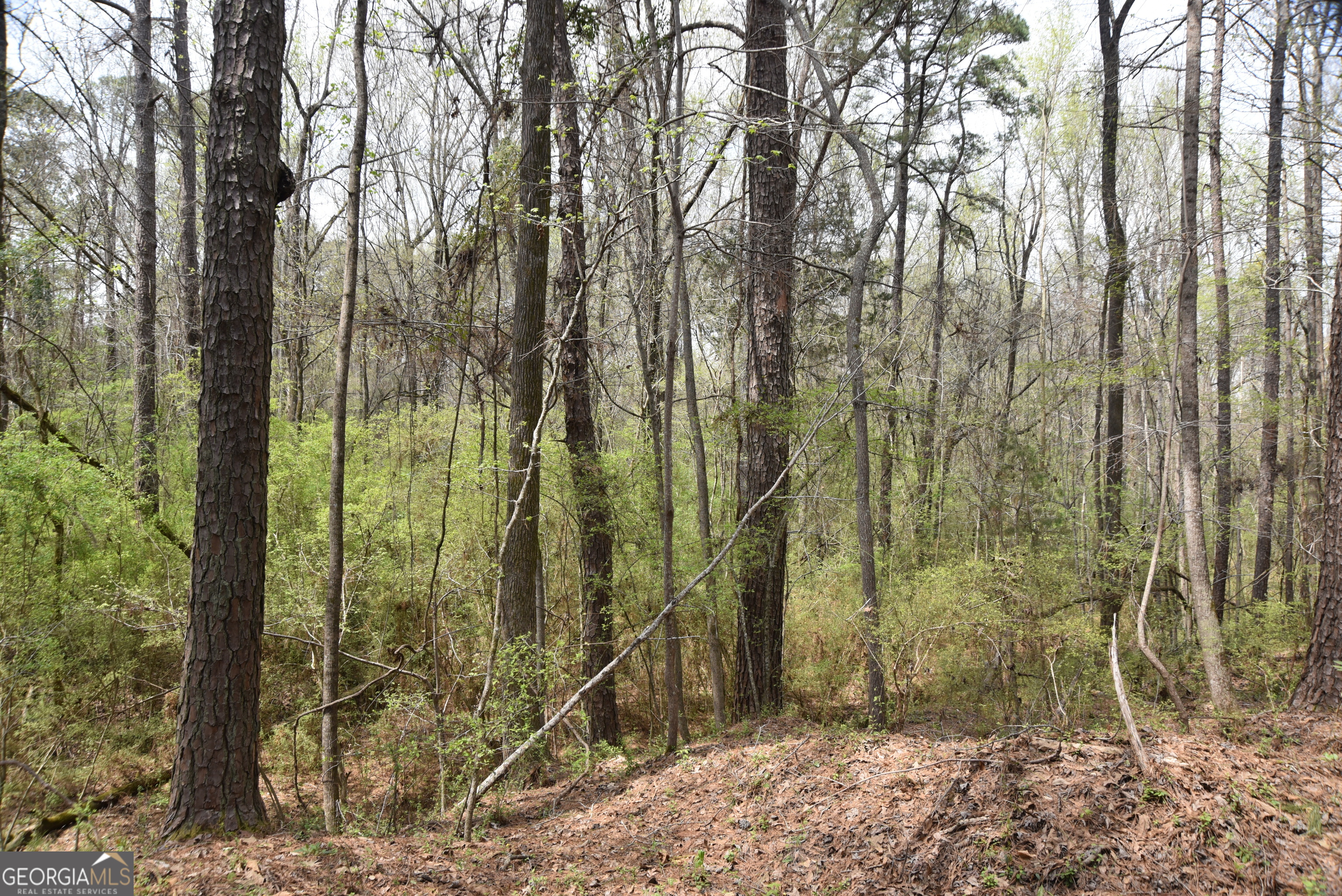 0 Main Waverly Hall GA 31831