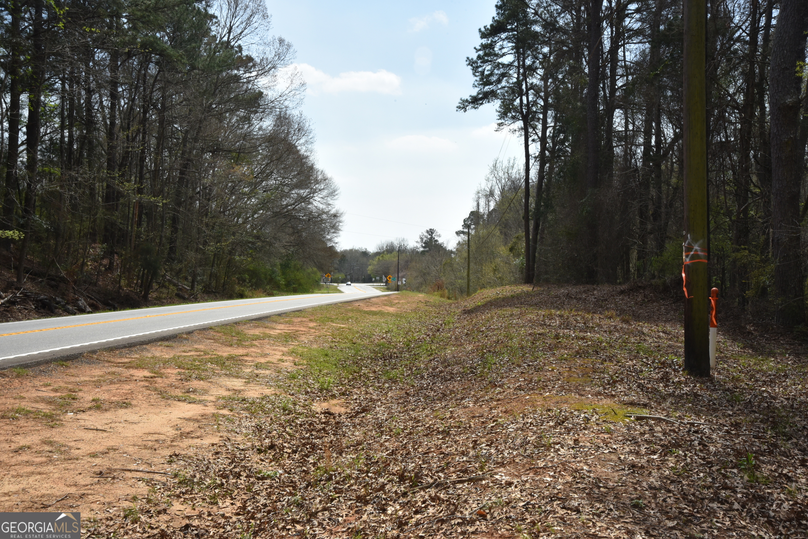 0 Main Waverly Hall GA 31831