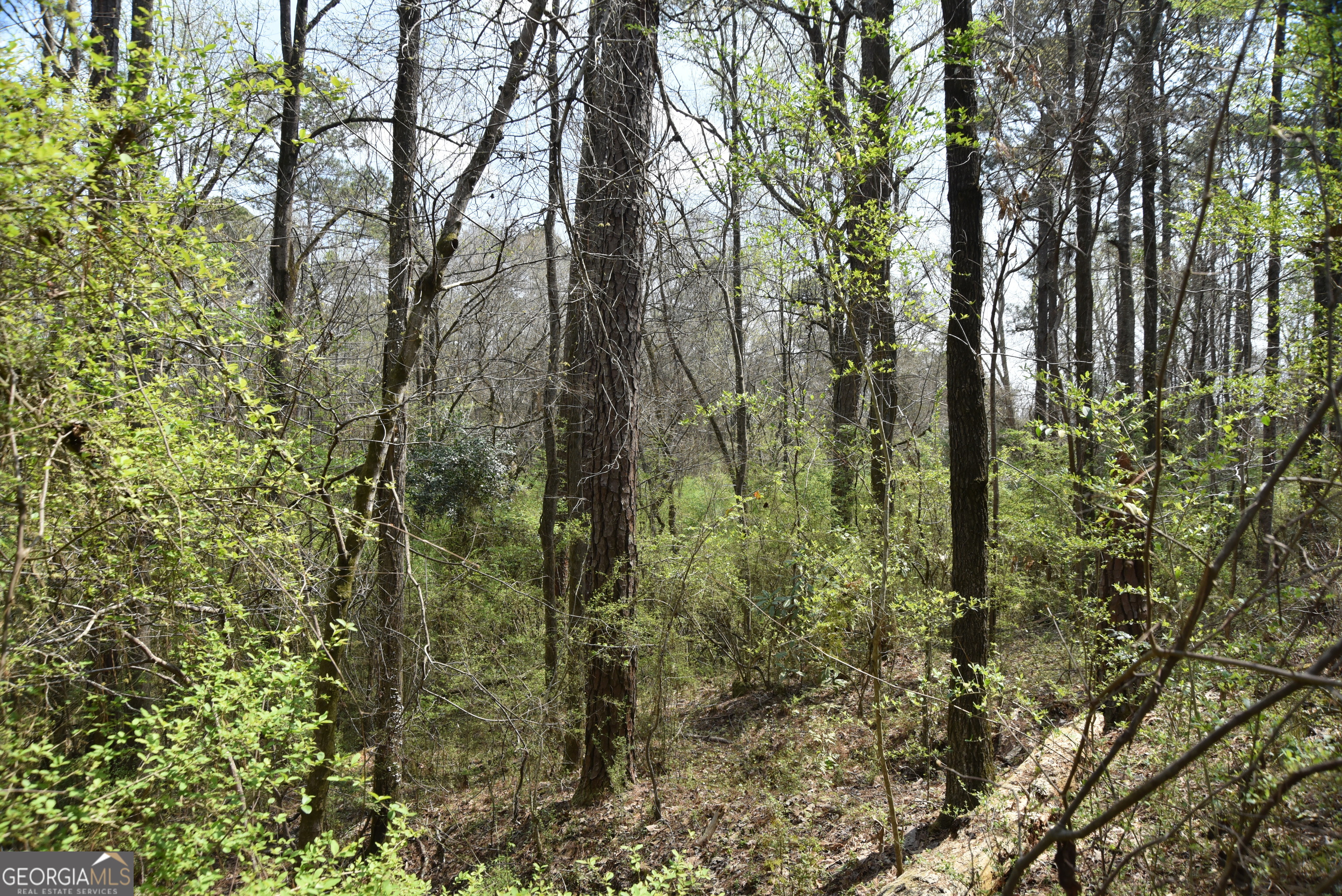 0 Main Waverly Hall GA 31831