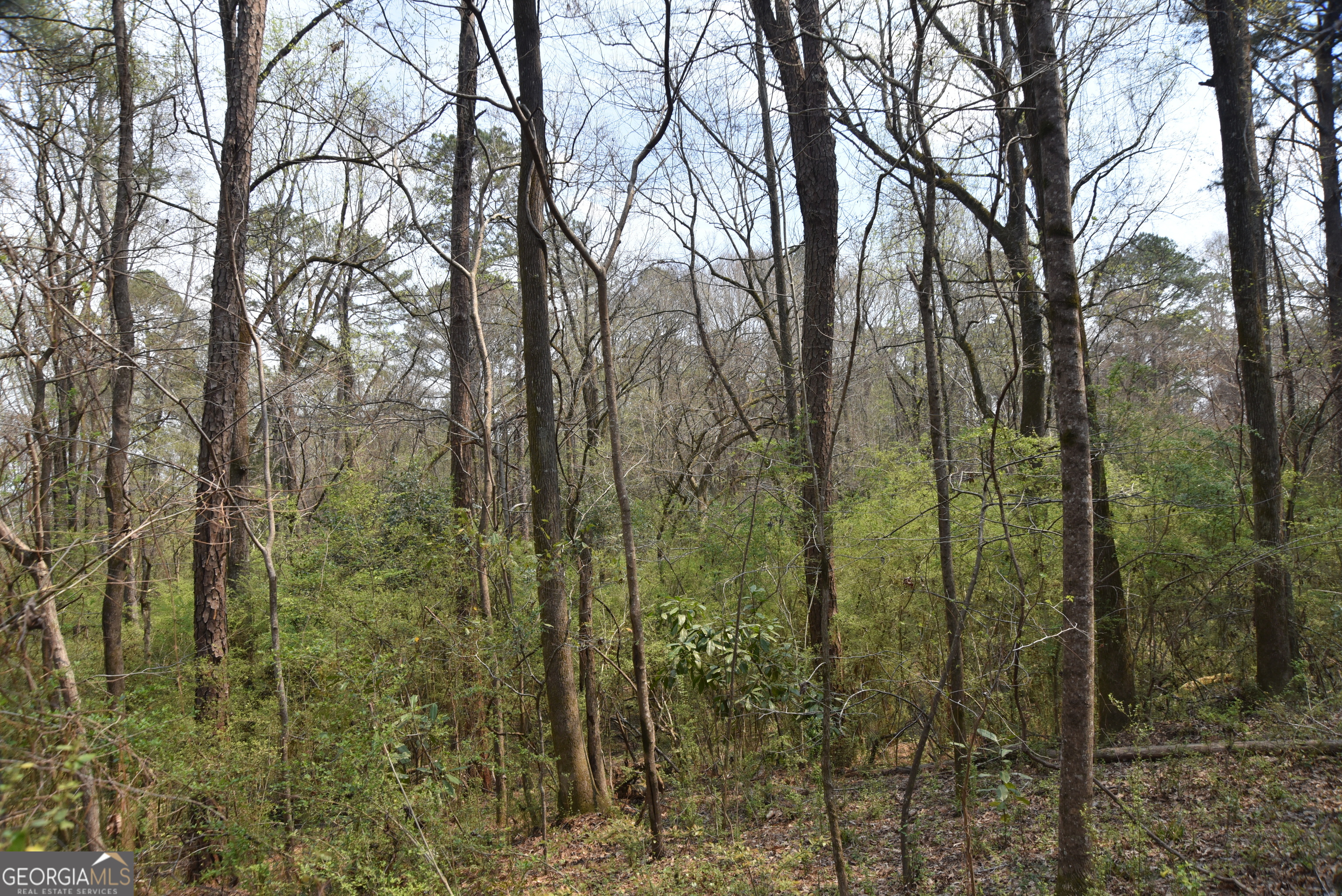 0 Main Waverly Hall GA 31831