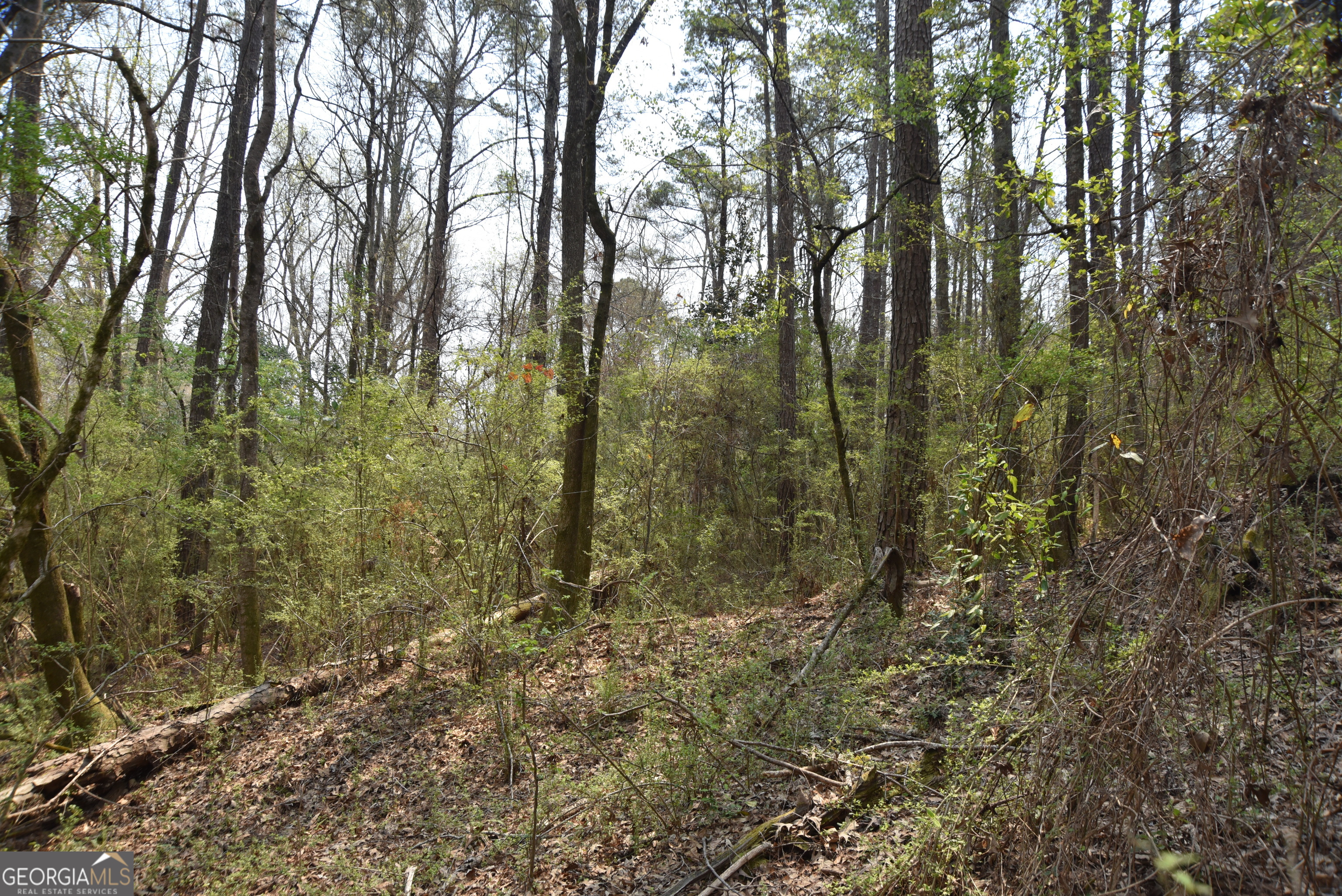 0 Main Waverly Hall GA 31831