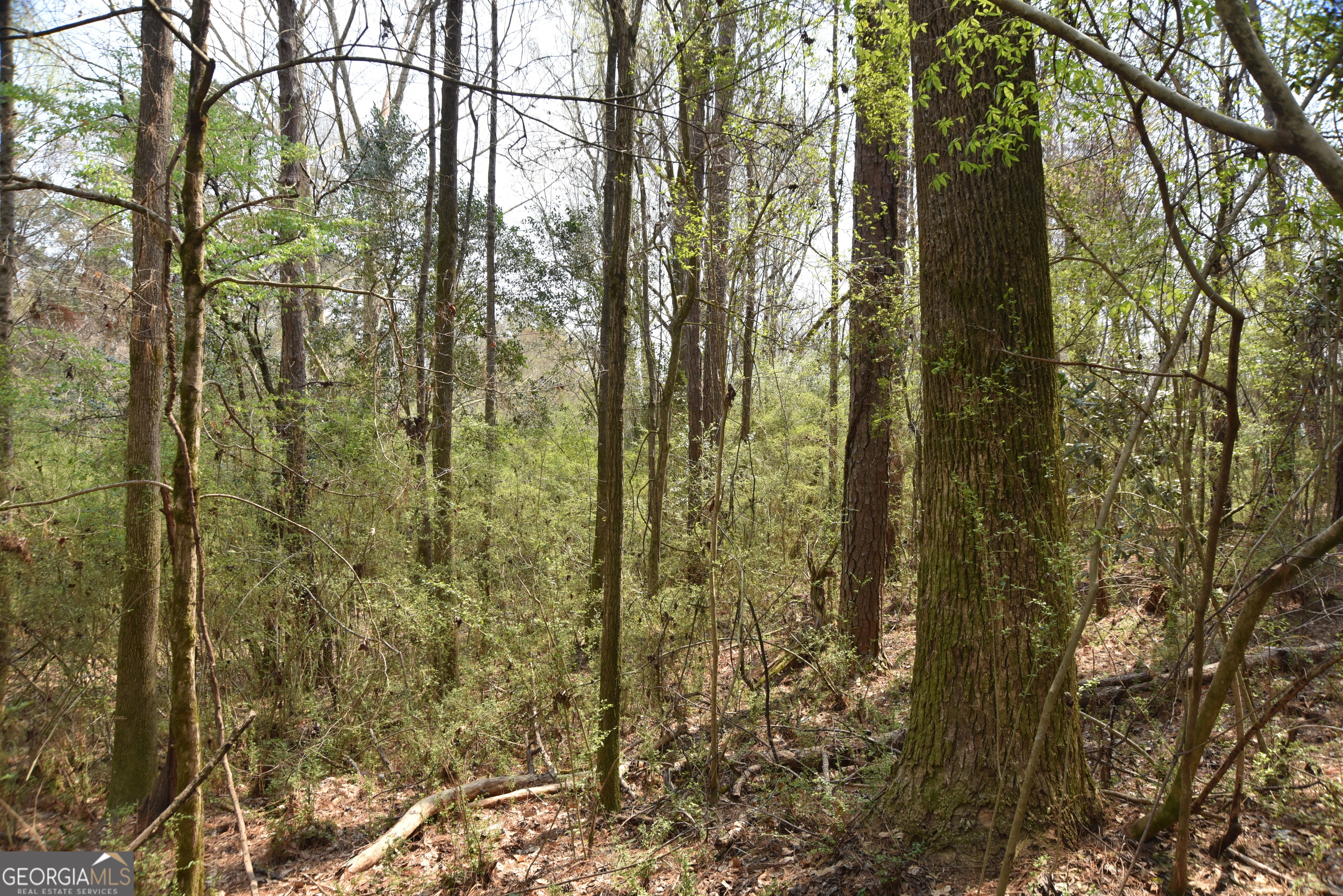 0 Main Waverly Hall GA 31831
