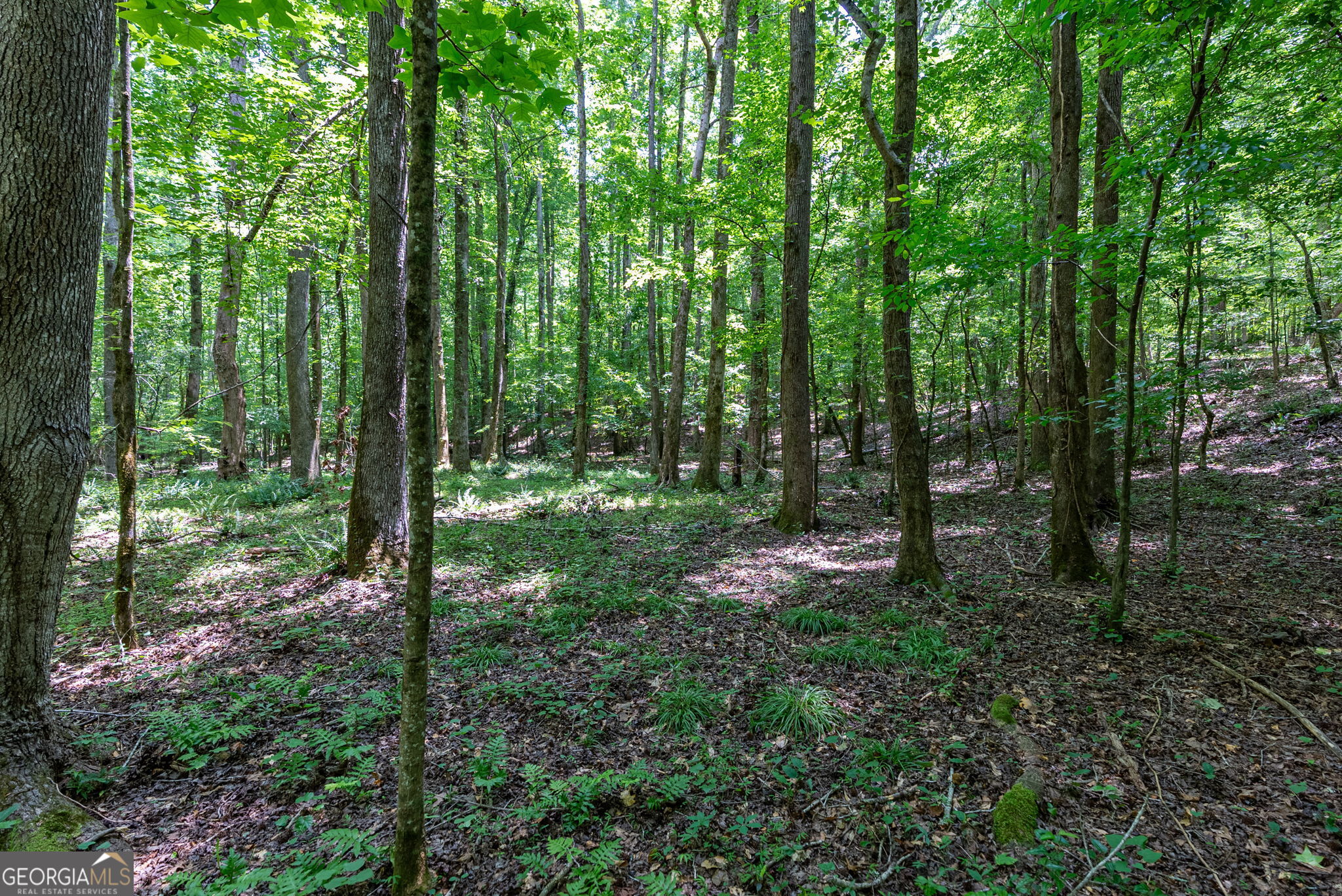 543 Faust Farm Road Crawford GA 30630