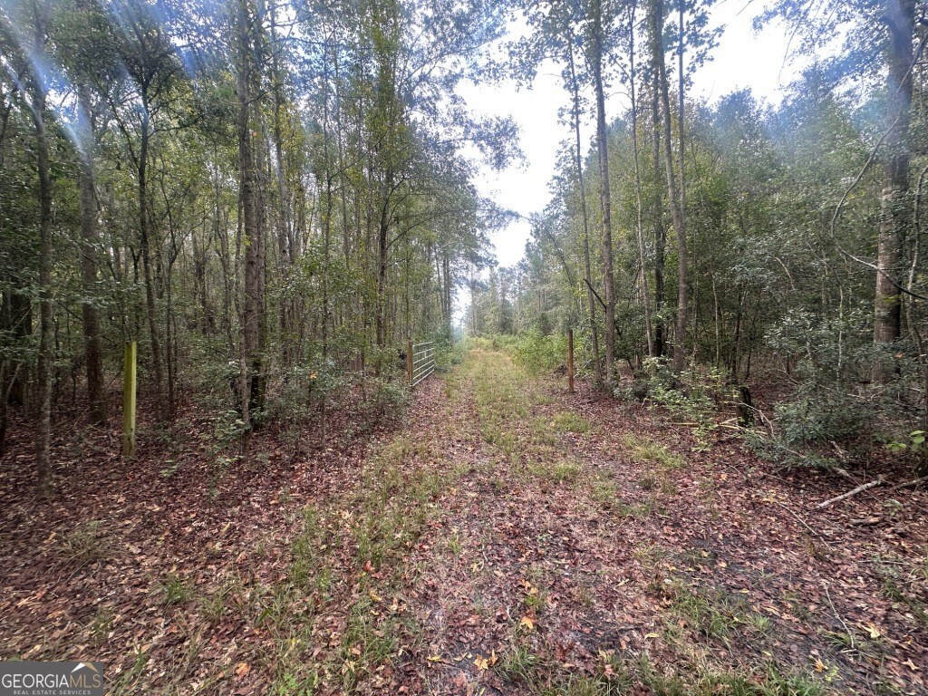 0 Lowground Road Guyton GA 31312