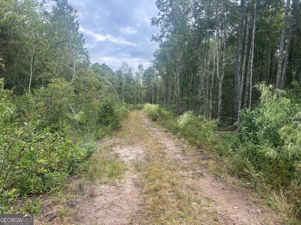 0 Lowground Road Guyton GA 31312