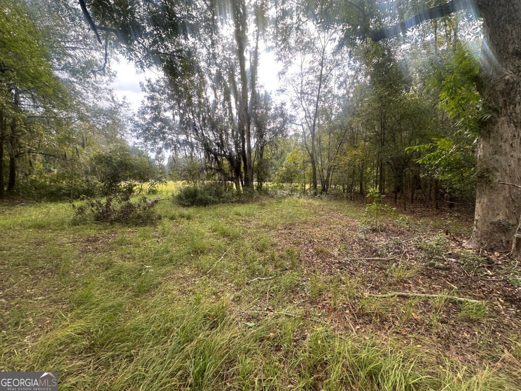 0 Lowground Road Guyton GA 31312