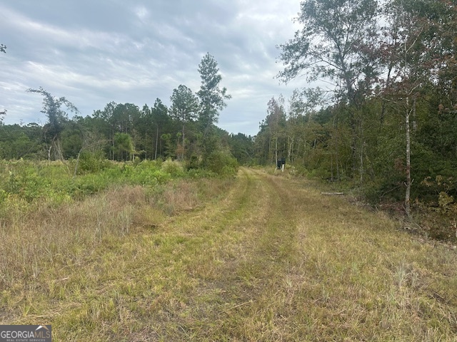 0 Lowground Road Guyton GA 31312