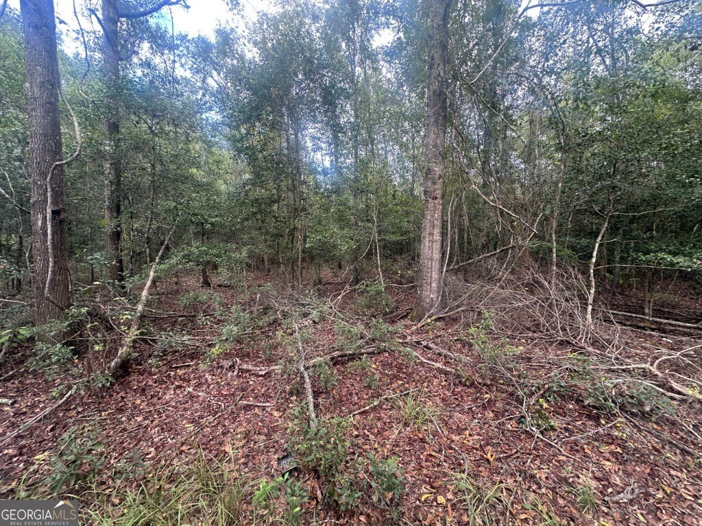 0 Lowground Road Guyton GA 31312