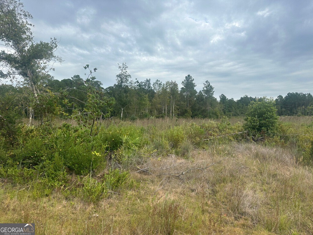 0 Lowground Road Guyton GA 31312