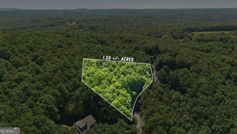 Lot 725 Plum Lane Clarkesville GA 30523