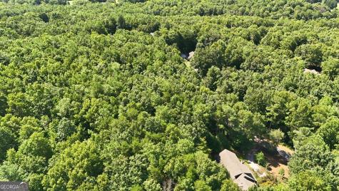 Lot 725 Plum Lane Clarkesville GA 30523