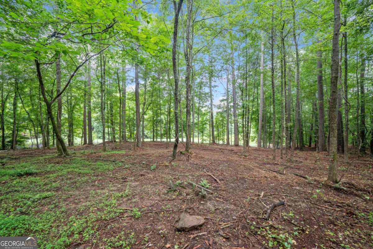 230 Brock Trail Milton GA 30004