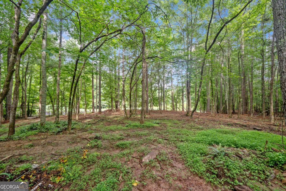 230 Brock Trail Milton GA 30004