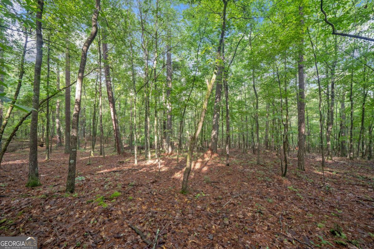 230 Brock Trail Milton GA 30004