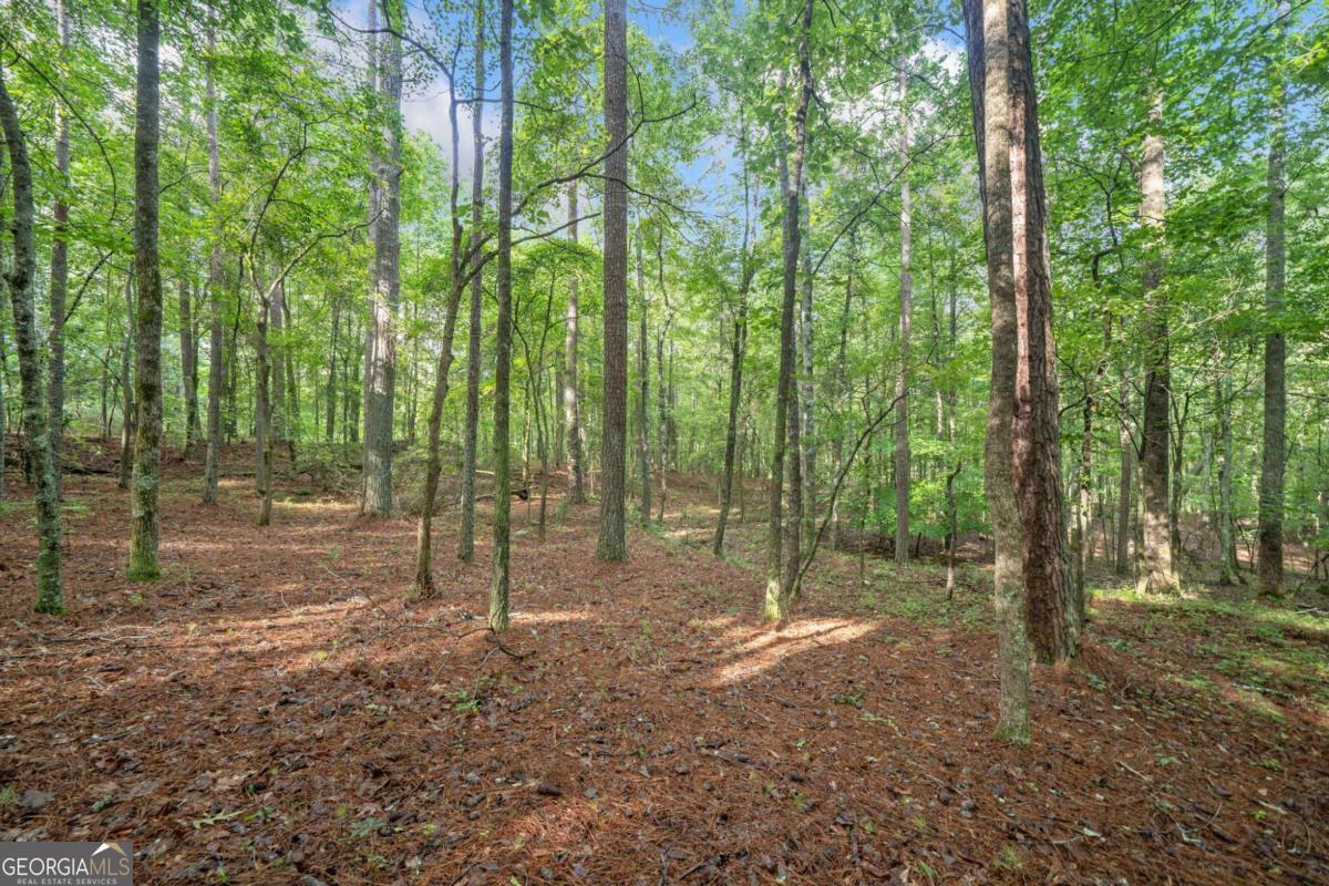 230 Brock Trail Milton GA 30004