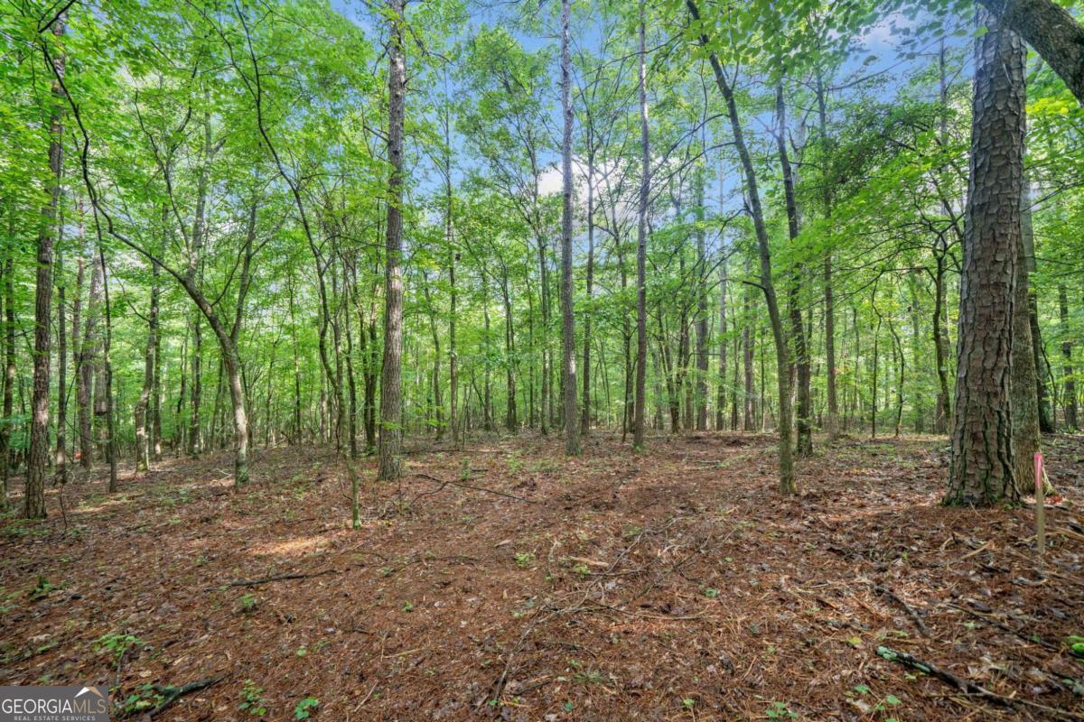 230 Brock Trail Milton GA 30004