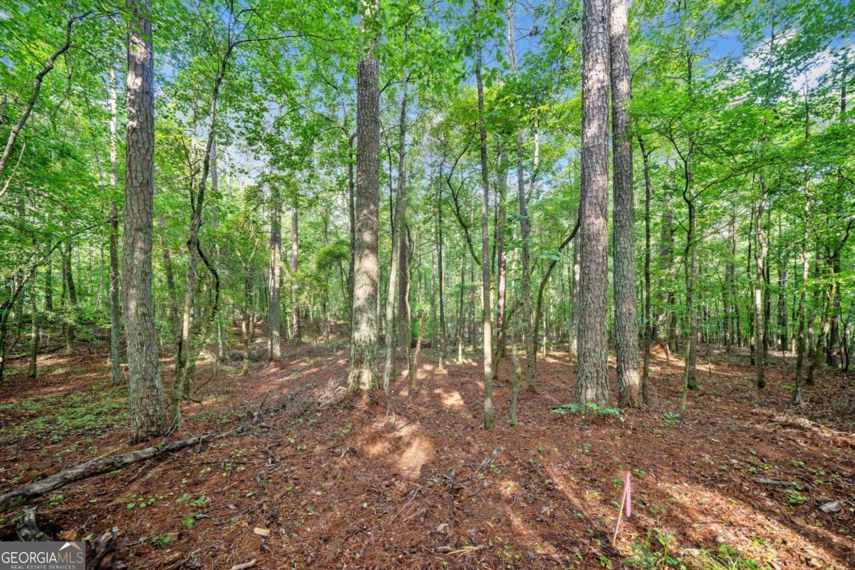 230 Brock Trail Milton GA 30004