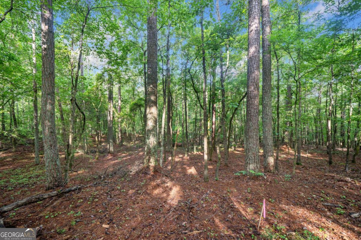 230 Brock Trail Milton GA 30004
