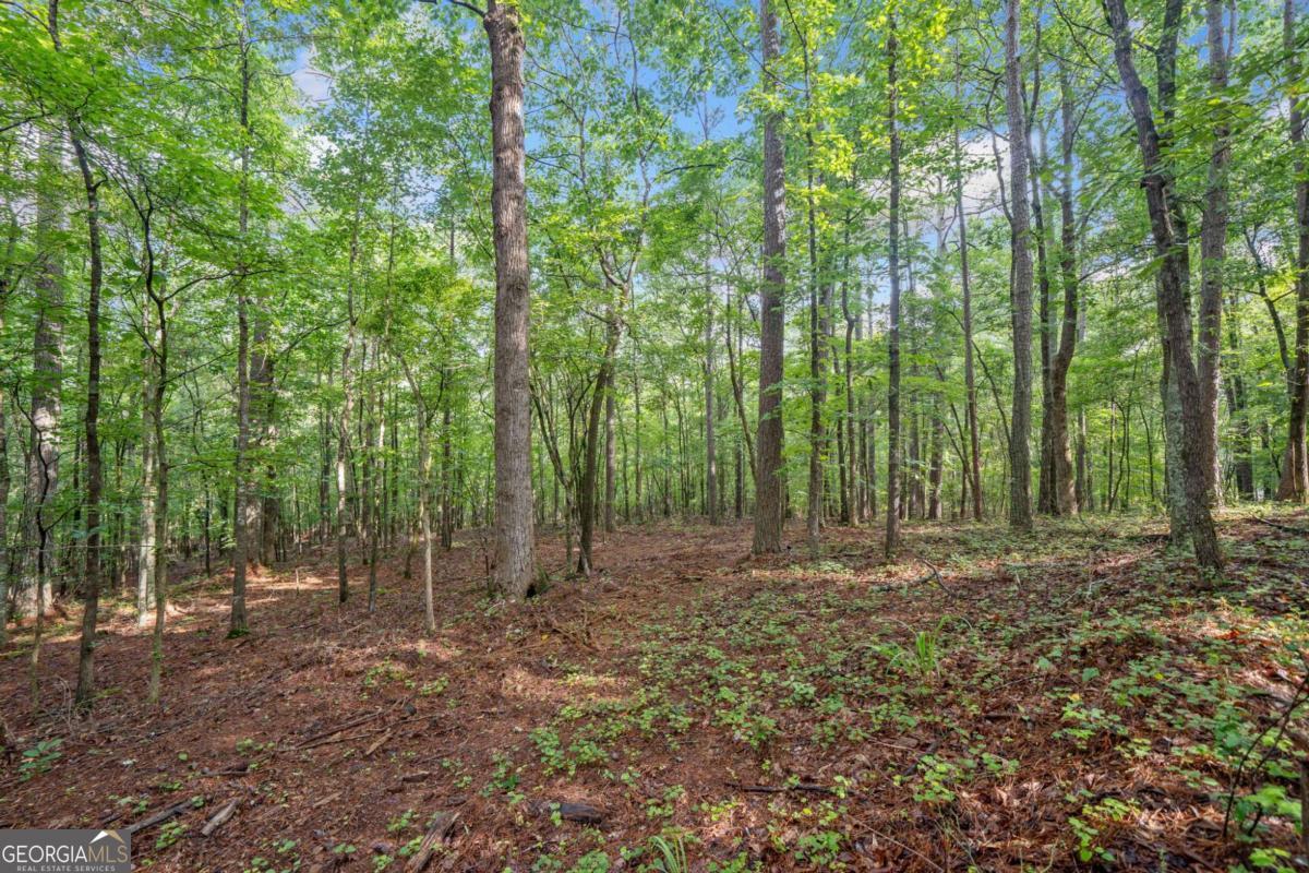 230 Brock Trail Milton GA 30004