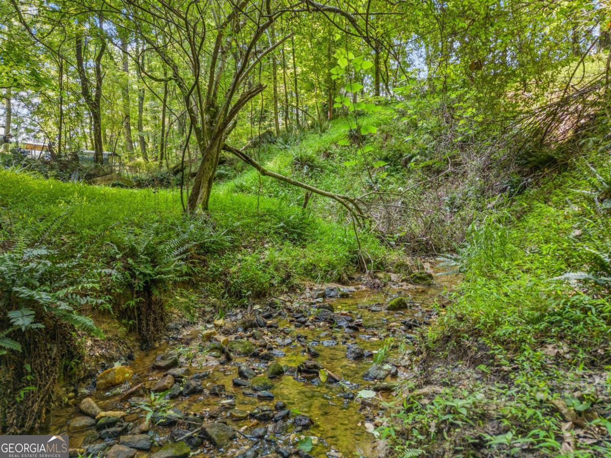 230 Brock Trail Milton GA 30004