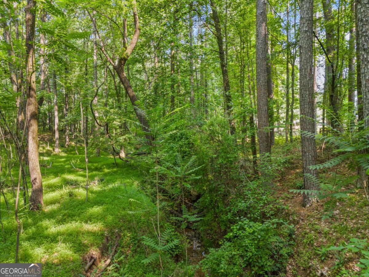 230 Brock Trail Milton GA 30004