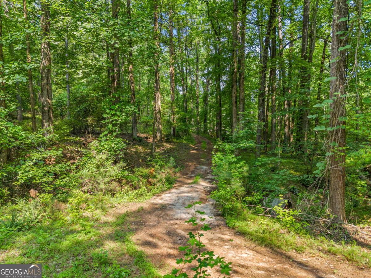 230 Brock Trail Milton GA 30004