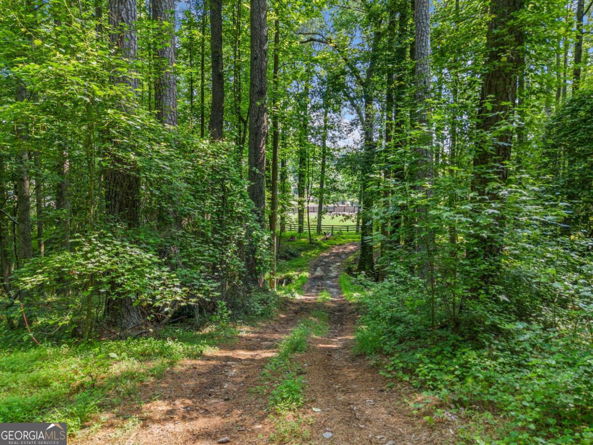 230 Brock Trail Milton GA 30004