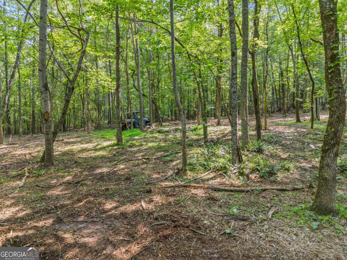 230 Brock Trail Milton GA 30004