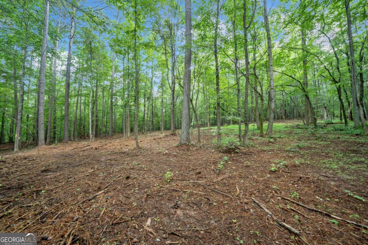 230 Brock Trail Milton GA 30004