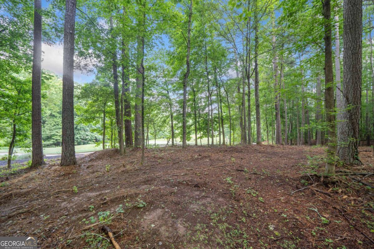 230 Brock Trail Milton GA 30004