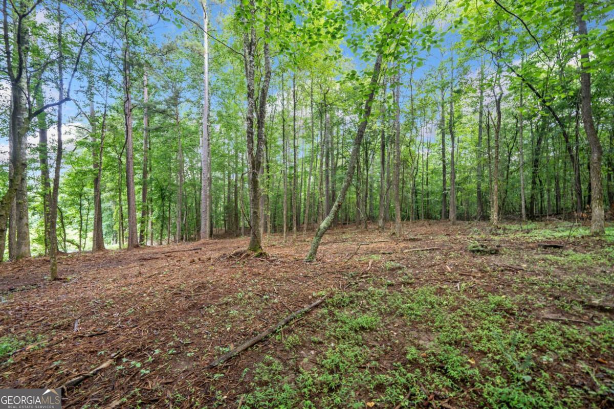 230 Brock Trail Milton GA 30004