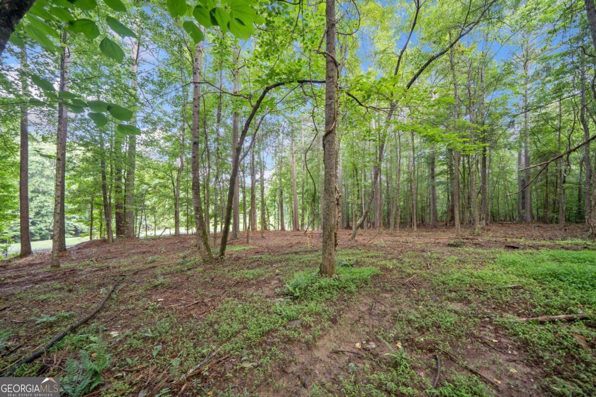 230 Brock Trail Milton GA 30004