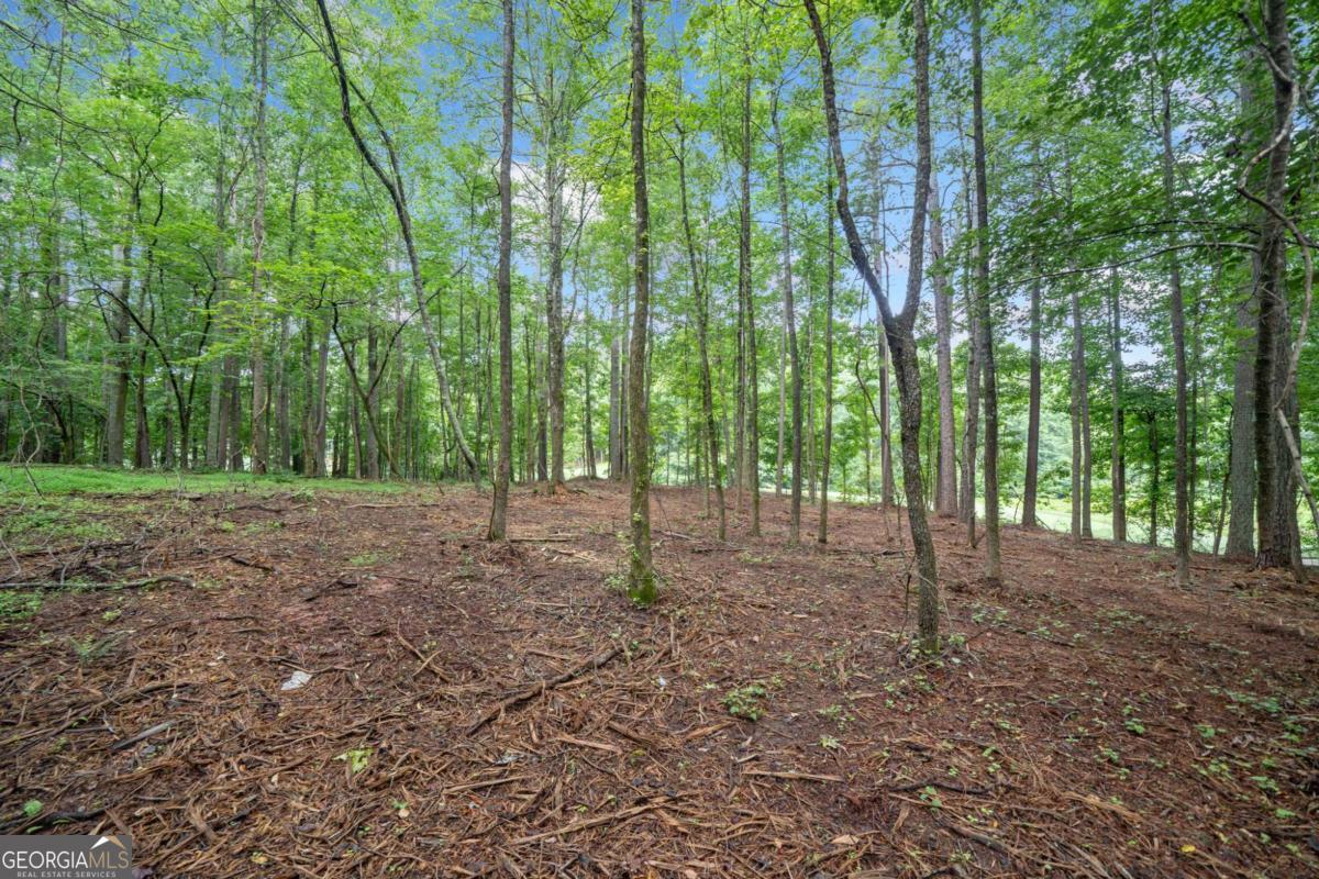 230 Brock Trail Milton GA 30004