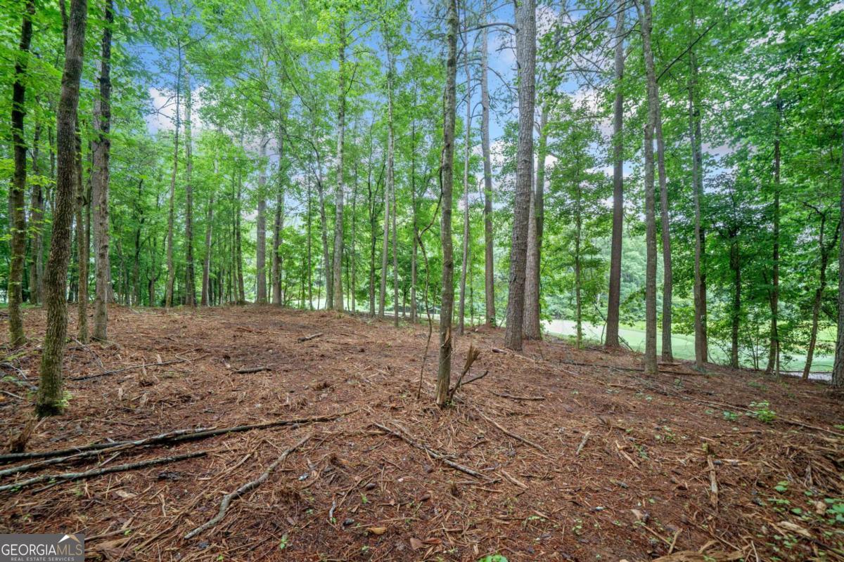 230 Brock Trail Milton GA 30004