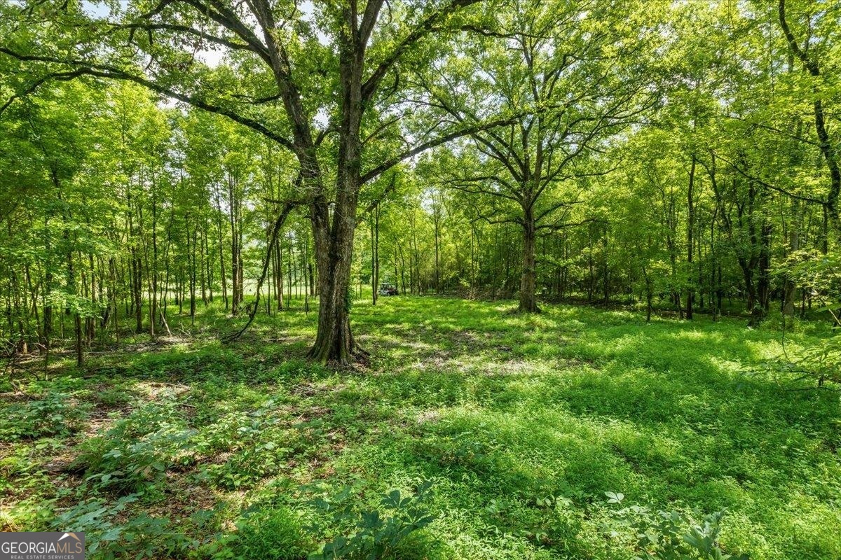 0 Creekview Drive Madison GA 30650