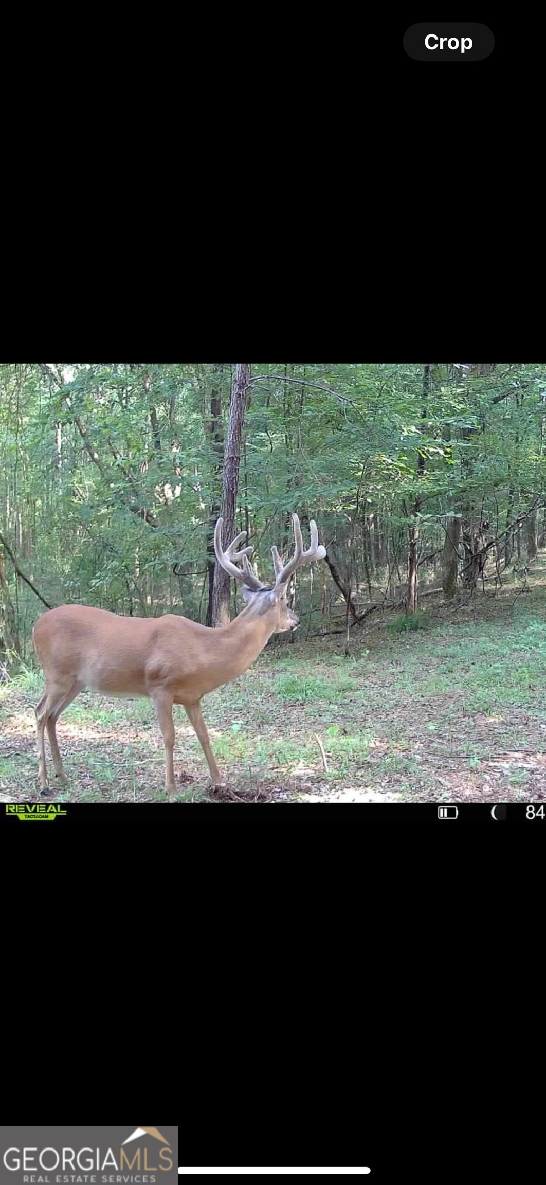 0 Creekview Drive Madison GA 30650