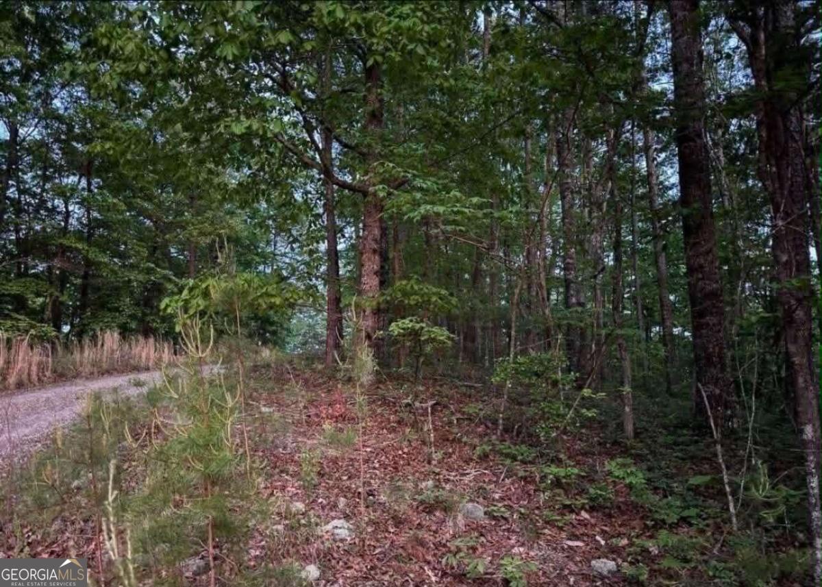 562 Neptune Circle NE Ranger GA 30734