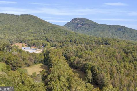 0 Turner Road Cleveland GA 30528