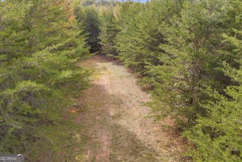 0 Turner Road Cleveland GA 30528