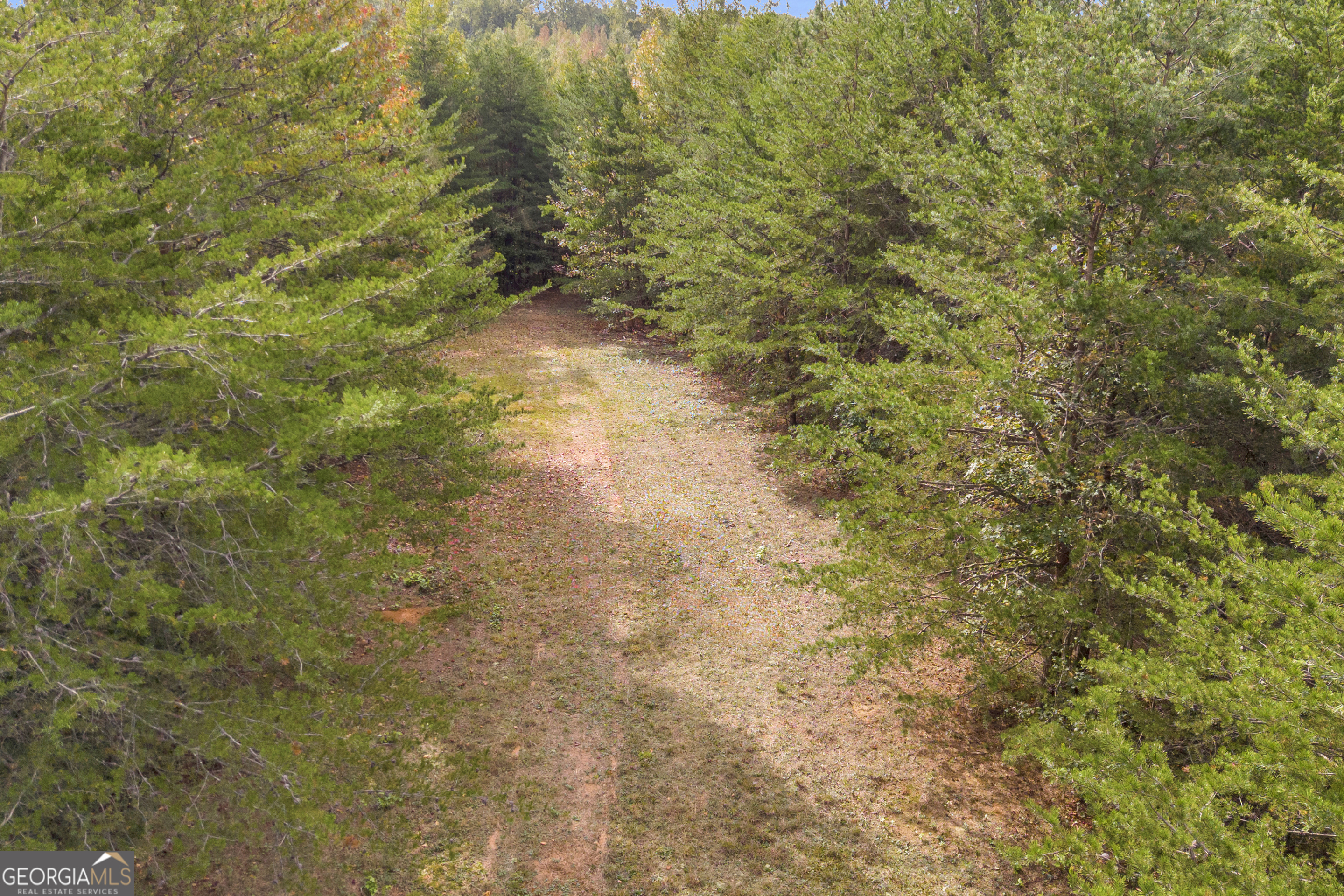 0 Turner Road Cleveland GA 30528