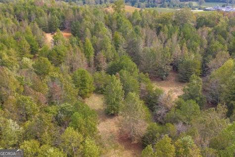 0 Turner Road Cleveland GA 30528