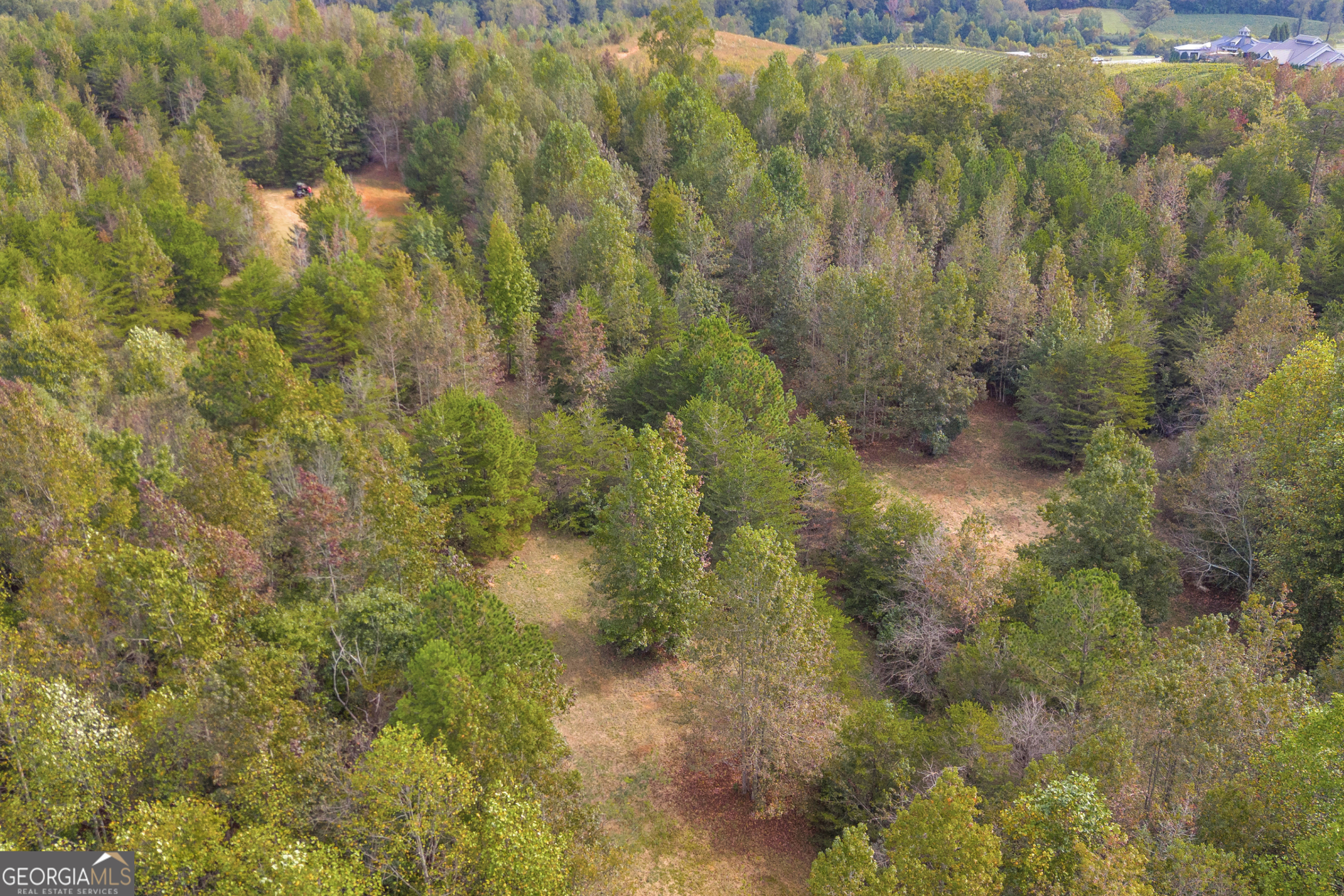 0 Turner Road Cleveland GA 30528
