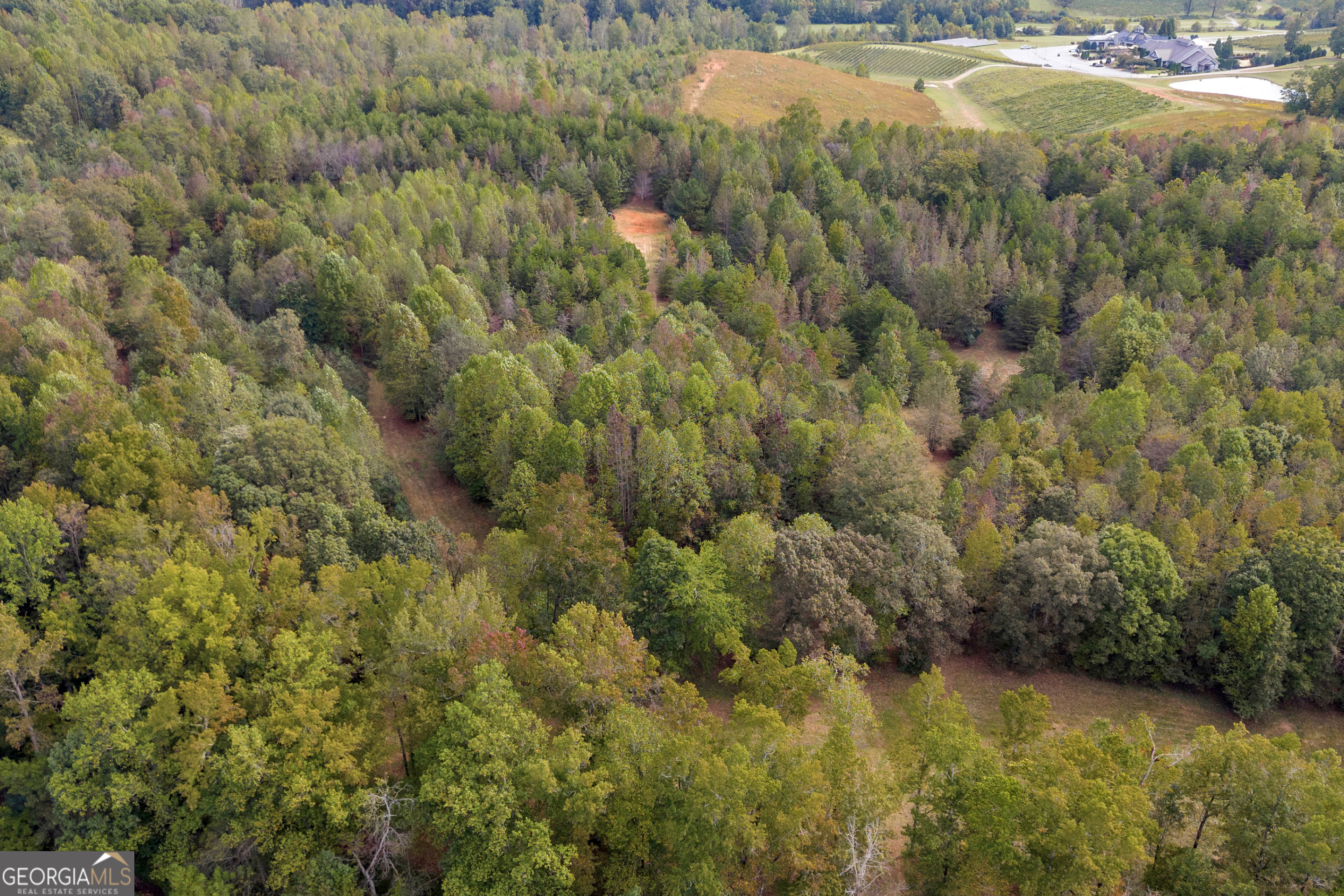 0 Turner Road Cleveland GA 30528