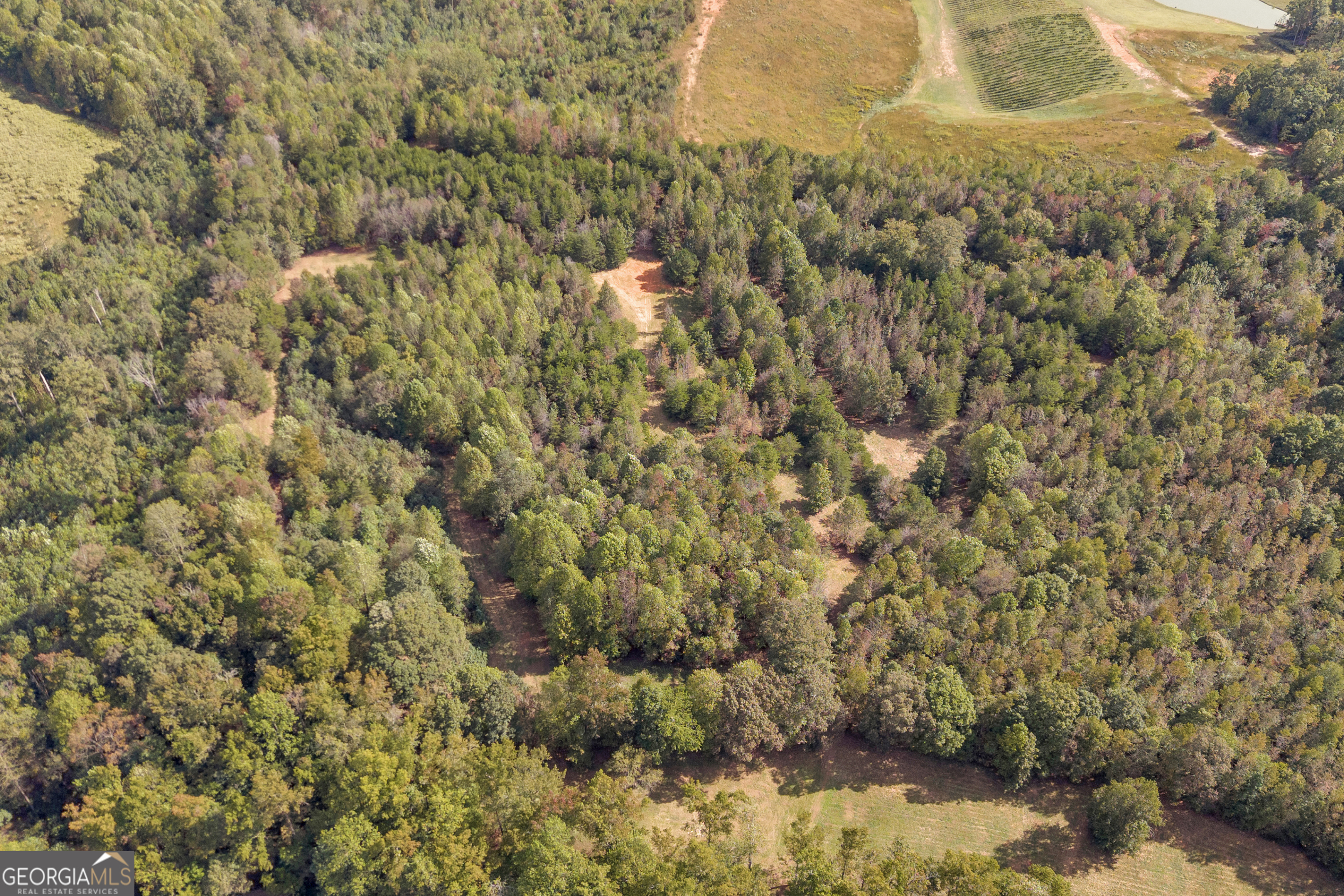 0 Turner Road Cleveland GA 30528