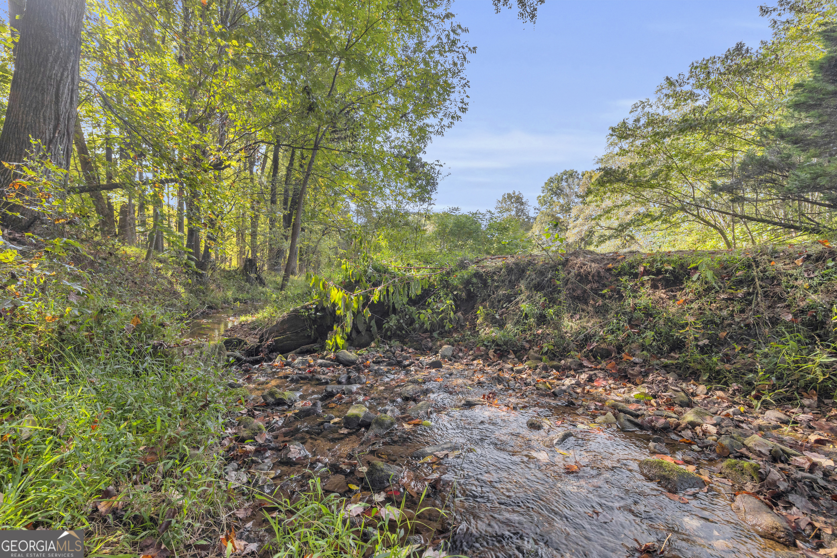 0 Turner Road Cleveland GA 30528