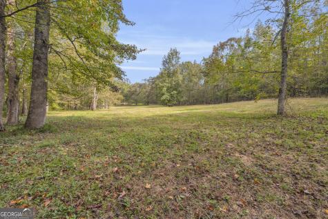 0 Turner Road Cleveland GA 30528